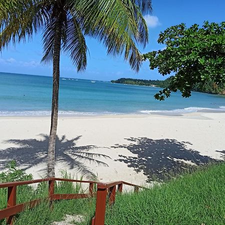 F3 Au Calme Vue Sur Mer 2 Chambres Balcon Terrasse La Trinite Ngoại thất bức ảnh